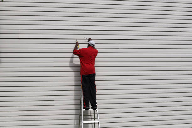 Best Aluminum Siding Installation  in Lexington, MS