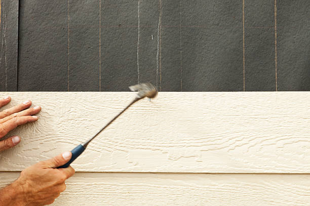 Best Siding Painting and Refinishing  in Lexington, MS